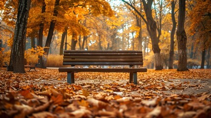 Poster - Autumnal Serenity: A Bench in a Golden Forest