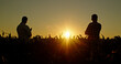 © StockMediaSeller - Two confident farmers admire the sunset over a cornfield.