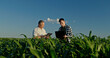 © StockMediaSeller - Father and son farmers standing in a beautiful cornfield, working with a laptop and tablet. Integrating technology in their family farm