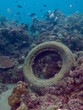 © Houston - Garbage on the seabed. An old car tire at the bottom of the sea on a coral reef underwater.