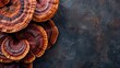 © Gucks - Reishi mushroom, health mushroom concept banner