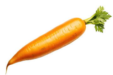 Wall Mural - A Single Fresh Carrot With Green Top Isolated Against a White Background on a White or Clear Surface PNG Transparent Background.