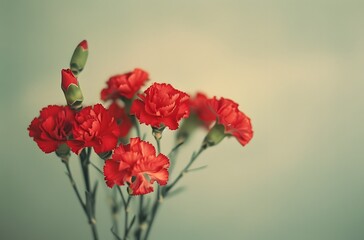 Sticker - Vintage Red Carnations Bouquet Close Up