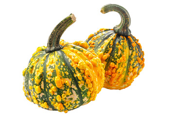 Poster - Carnival squash isolated on a white background, great for autumn themes and decorations.