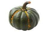 buttercup squash isolated on a white background, great for autumn themes and decorations.