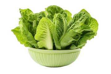 Poster - A Fresh Bunch of Romaine Lettuce in a Green Bowl, Ready for a Delicious Salad on a White or Clear Surface PNG Transparent Background.