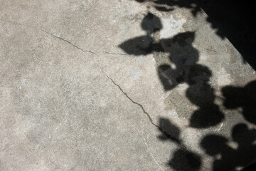 Poster - A shadow of a leaf is cast on a concrete sidewalk