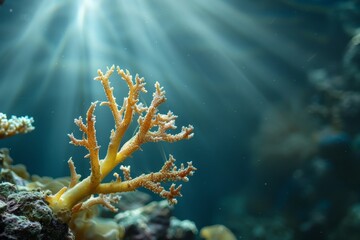 Wall Mural - Coral reaching for sunlight in the ocean depths, Delicate tendrils of coral reaching towards the light