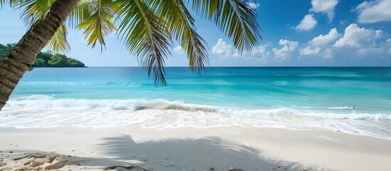 Canvas Print - Tropical Beach Palm Tree Landscape