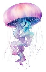 Poster - PNG  Galaxy element of jellyfish in Water color style white background invertebrate transparent.