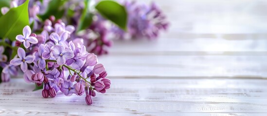 Poster - Close up of a lilac branch displayed on a white wooden table with a spacious area for copyspace image