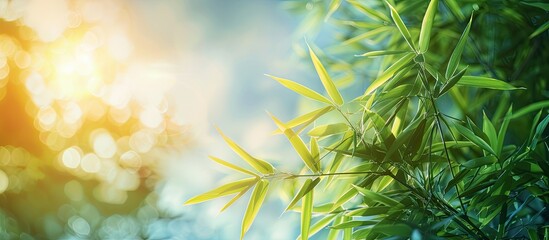 Aufkleber - Sunlight shining through bamboo leaves against a backdrop of the sky creates a serene image with copy space