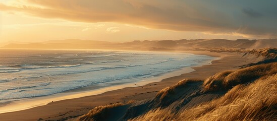 Poster - Coastline at sunset with a view of the ocean and a sandy beach with a copy space image