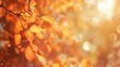 © rawdesign - Beautiful autumn leaves with golden light bokeh effect