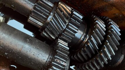 Wall Mural - closeup disassembled car automatic transmission gear