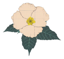 Wall Mural - PNG Botanical flower pattern drawing nature.