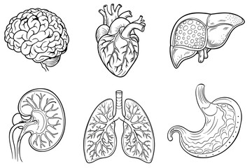 Set of isolated icons with different human internal organs cartoon style