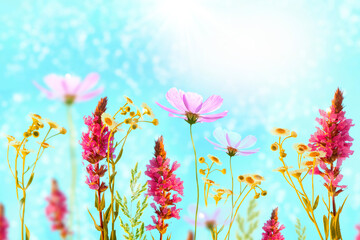 Wall Mural - bright wildflowers bloom in the meadow. nature.