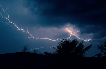 Wall Mural - Glowing lightning strike in dark blue sky above the palm tree, summer thunderstorm, thunderbolt