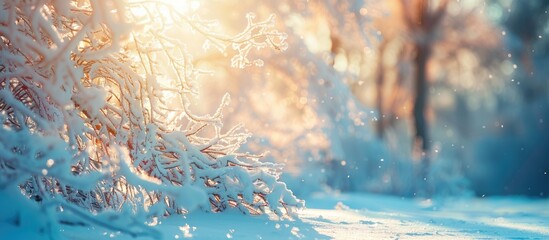 Poster - Winter s sunny day illuminating frozen trees with a copy space image