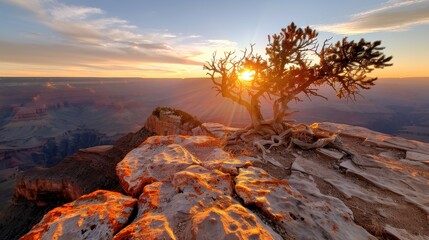 A twisted tree on the edge of a cliff with a stunning sunrise illuminating the expansive landscape, symbolizing endurance and the unparalleled beauty of nature’s formations.