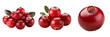 © grapiephoto - cranberries isolated on transparent background