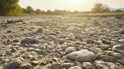 Detailed view of a dry riverbed with a diverse collection of rocks, pebbles, and stones under the warm sunlight, with blurred trees and sky in the backdrop