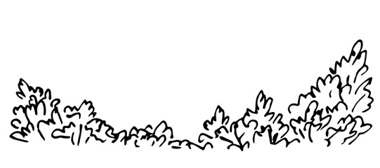 bushes and vegetation, hedges, fences. nature and landscape, forest. simple vector drawing with blac
