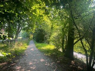 Canvas Print - View of pathway through park with green trees alongside