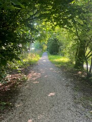 Canvas Print - View of pathway through park with green trees alongside