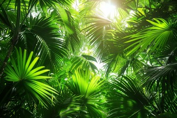 Poster - Lush Tropical Rainforest Canopy