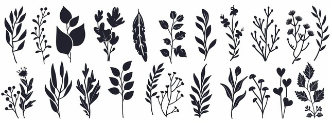 Leaves silhouettes of beautiful plants, leaves, and plant designs. Modern illustration.