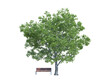 © stanslavov - Tree bench png alpha chanel no background
