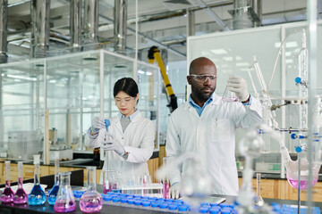 Aufkleber - Young serious male scientist in lab coat looking at liquid in beaker while standing next to female researcher or chemist during experiment