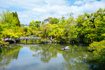 Poster - Eikando Temple (Eikan-do) in Kyoto Japan