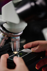Aufkleber - Hands of young unrecognizable researcher or chemist putting biotechnological sample under lens of microscope