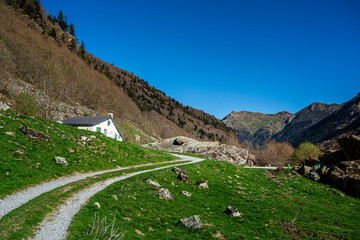 Wall Mural - Ossau Valley, French Pyrenees, HDR Image