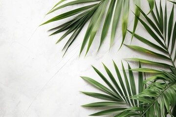 Poster - Palm leaves on white background. Close-up view of two green palm fronds with varying sizes creating depth. Fresh and natural texture, ideal for eco-friendly or nature-inspired designs.