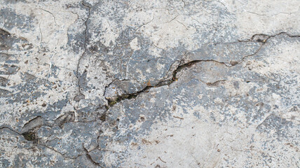 Poster - Close up texture of a cracked concrete surface with gray and white tones and a rough texture. Cracked Concrete Surface Material Background.