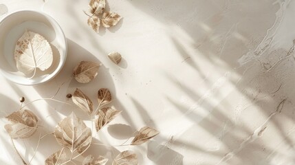 Poster - Neutral background with natural elements for beauty product branding