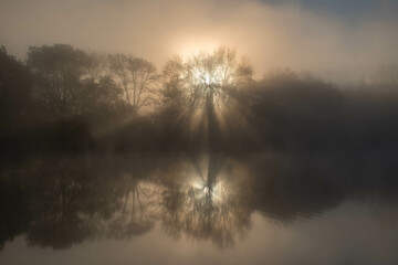 Sunbeams through the trees on the lake at dawn