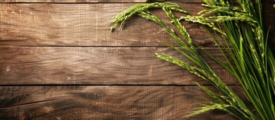 Sticker - Rice paddy displayed on a rustic wooden surface with ample copy space image