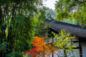 Poster - Chengdu, China - December 4 2023 : Historical center in autumn, HDR Image