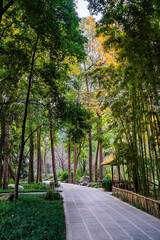 Poster - Chengdu, China - December 4 2023 : Historical center in autumn, HDR Image