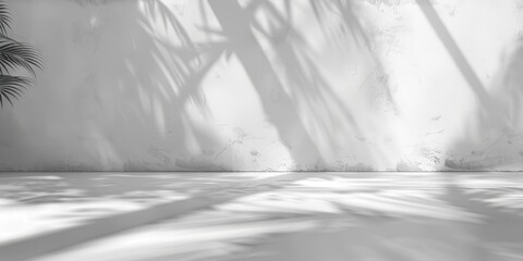 Wall Mural - White Wall With Palm Tree Shadows