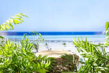 Wall Mural - Wooden stump as a table with palm trees and seascape background on a tropical beach with copy space for products and objects and accessories. Product display montage inspiration.