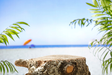 Wall Mural - Wooden stump as a table with palm trees and seascape background on a tropical beach with copy space for products and objects and accessories. Product display montage inspiration.