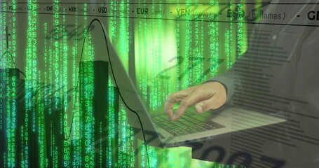 Wall Mural - Image of data processing over african american man using laptop by computer servers