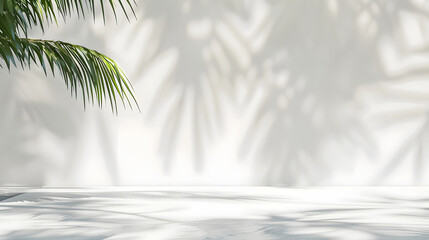 Wall Mural - Blank empty white wall and floor studio with natural leaves shadow overlay mockup background for design, product montage display