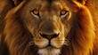 © AlfaSmart - Lion face, with its intense eyes and detailed mane highlighted